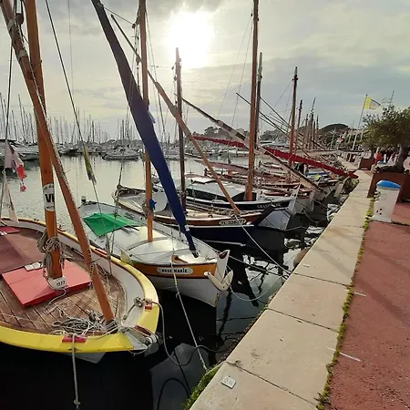 D'une Avec Vue Sur La Et Wifi A A 1 Km De La Bandol